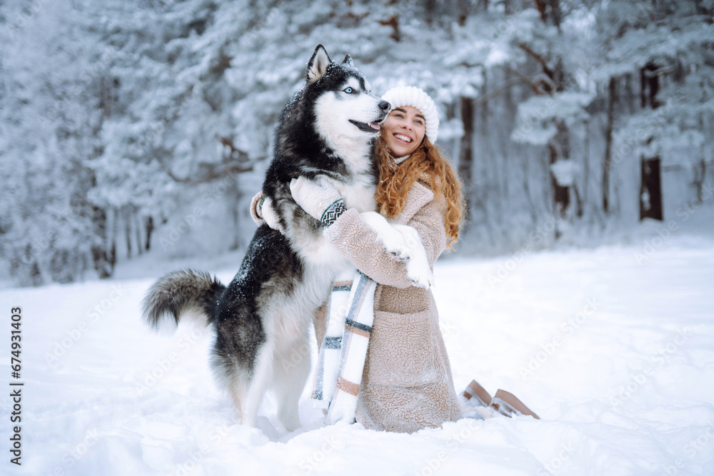 A cheerful husky dog walks with its owner in a snowy forest. A young woman with her pet on an adventure. Friendship concept, pets. A cheerful husky dog walks with its owner in a snowy forest. A young woman with her pet on an adventure. Friendship concept, pets.