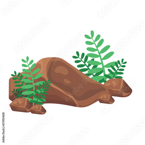 Colored ground rocks with leaves Vector