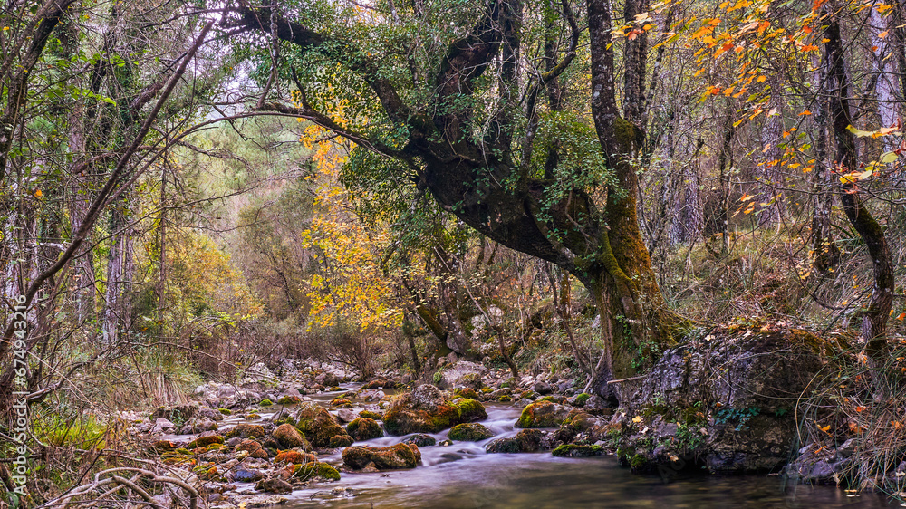 Rio Mundo bed in the Los Calares del Mundo y de la Sima natural park. Autumn forest landscape. View of autumn leaves. In Riopar, Albacete province, Castilla la Mancha community, Spain. Rio Mundo bed in the Los Calares del Mundo y de la Sima natural park. Autumn forest landscape. View of autumn leaves. In Riopar, Albacete province, Castilla la Mancha community, Spain.