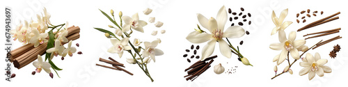 Vanilla pods and orchid flower  Hyperrealistic Highly Detailed Isolated On Transparent Background Png File photo