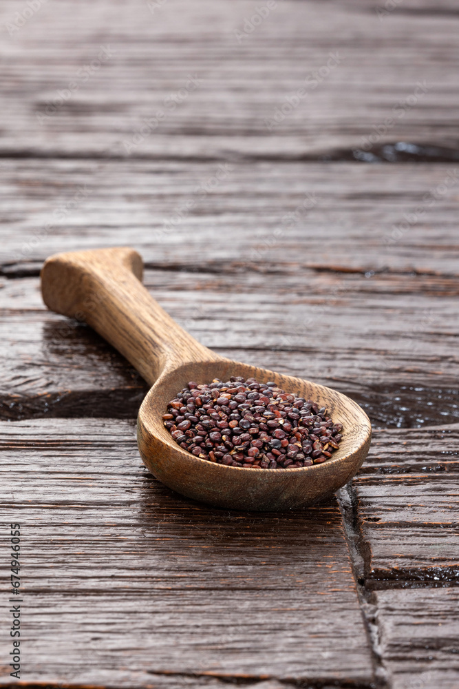 Brown organic quinoa seeds in the spoon - Chenopodium quinoa Brown organic quinoa seeds in the spoon - Chenopodium quinoa