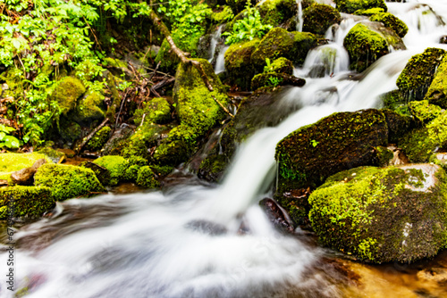 Fototapeta Naklejka Na Ścianę i Meble -  Waterfall cascading over the rocks in the Great Smoky Mountains