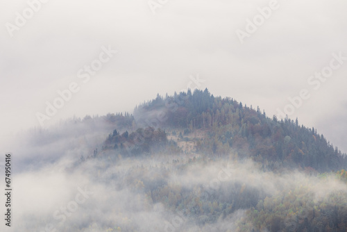 Foggy morning. Sunrise. Landscape with high mountains. Forest of the pine trees. The early morning mist. Touristic place. Natural scenery.