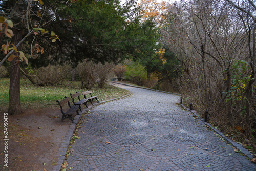 Beautiful Nature Autumn landscape. Scenery view on autumn city park with golden yellow foliage in cloudy day. Walking paths in the city Park strewn with autumn fallen leaves photo