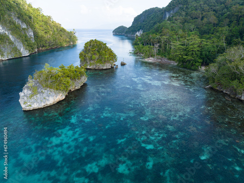 Fototapeta Naklejka Na Ścianę i Meble -  Limestone islands, covered by tropical vegetation, are fringed by coral reefs in the calm Alyui Bay, Raja Ampat, Indonesia. The reefs of this region support the greatest marine biodiversity on Earth.