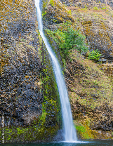 Horsetail Falls Plunging Into Pool  Cascade Locks  Columbia River Gorge National Scenic  Area  Oregon  USA