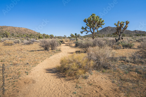 hiking the lost horse mine loop trail in joshua tree national park  california  usa