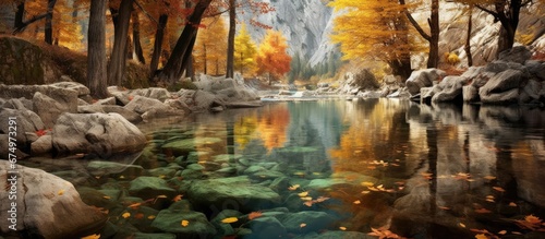 The autumn landscape was defined by the vibrant colors of the leaves the majestic trees standing tall in the background and the tranquil sound of water splashing against the rocks in the fo
