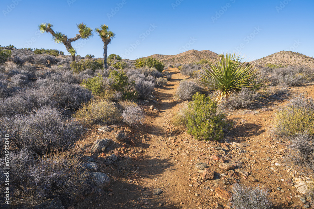 hiking the lost horse mine loop trail in joshua tree national park, california, usa hiking the lost horse mine loop trail in joshua tree national park, california, usa