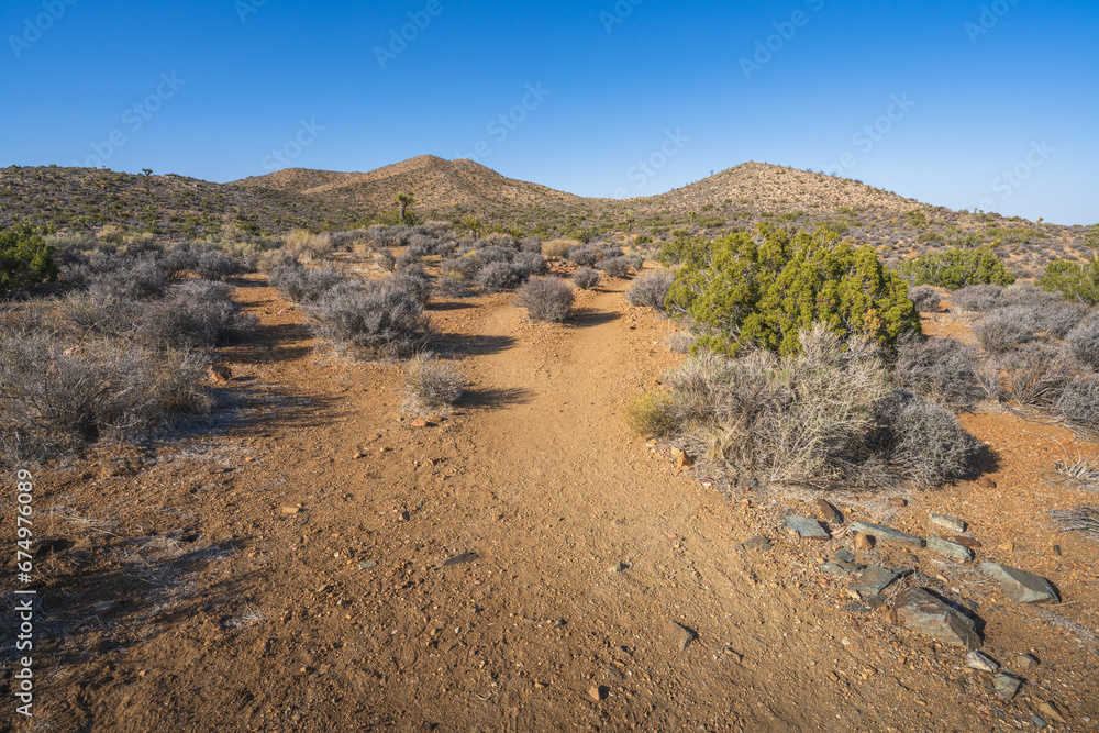hiking the lost horse mine loop trail in joshua tree national park, california, usa hiking the lost horse mine loop trail in joshua tree national park, california, usa