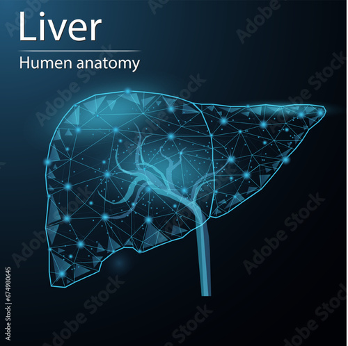 Human liver anatomy organ translucent low poly triangle futuristic glowing. On dark blue background. Liver system disease medical innovation concept.