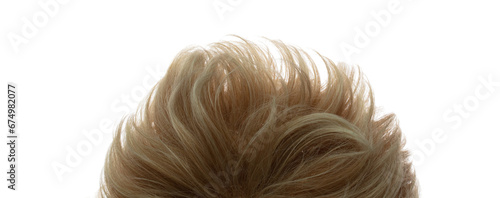 Canvastavla Short straight Wig hair style fly fall explosion