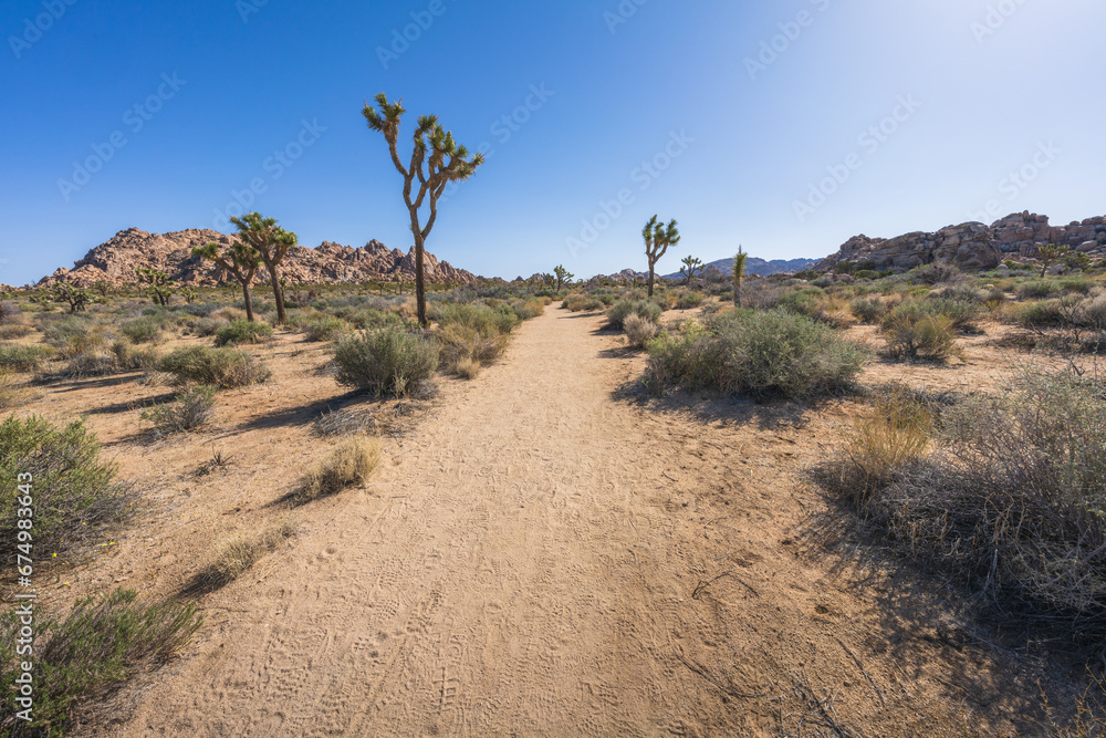 hiking the lost horse mine loop trail in joshua tree national park, california, usa hiking the lost horse mine loop trail in joshua tree national park, california, usa