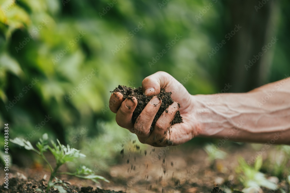 Farmer checks soil. Organic gardening concept.