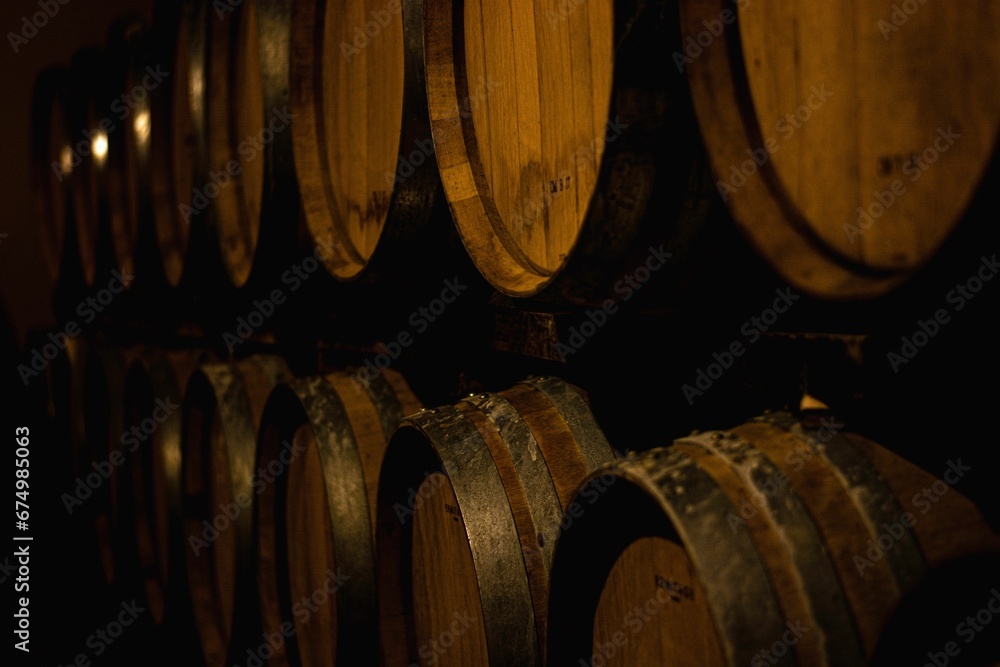Wooden barrels full of wine
