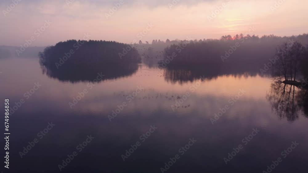 Beautiful scenery of birds flying over the sea with trees silhouette in the background at sunset Beautiful scenery of birds flying over the sea with trees silhouette in the background at sunset