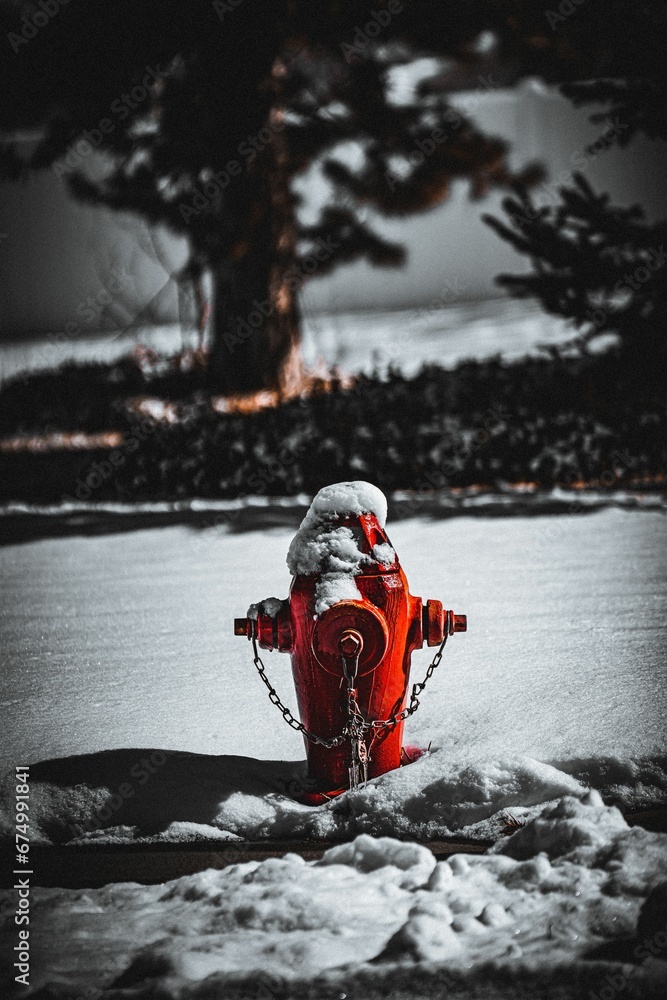 Obraz premium an old fashioned fire hydrant sitting in the snow near trees