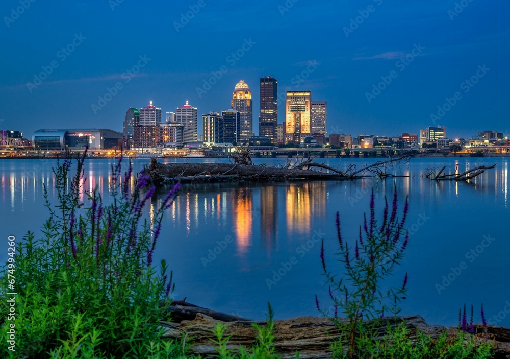 Naklejka premium Long exposure shot of Louisville, Kentucky and the Ohio River with a fallen tree during a blue hour.