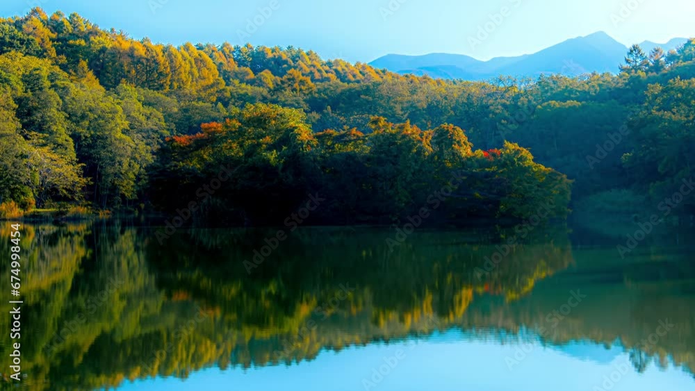 秋の信州で池の畔の色付き始めた樹々の風景(タイムラプス) 秋の信州で池の畔の色付き始めた樹々の風景(タイムラプス)
