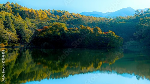 秋の信州で池の畔の色付き始めた樹々の風景（タイムラプス）