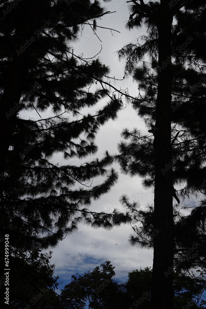 Obraz premium black background