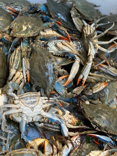 Close-up image of a basket filled with fresh seafood, featuring a variety of crabs