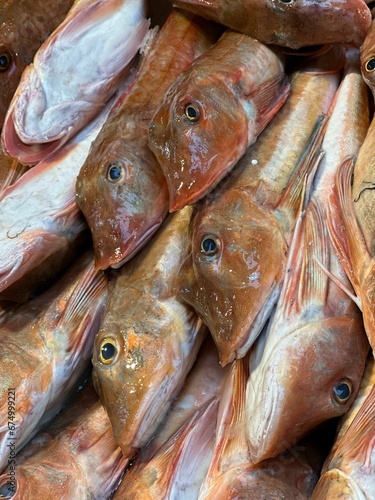 Tableau sur toile the group of dead fish is stacked together near one another