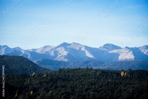 Beautiful view of dense forest with mountains in the background