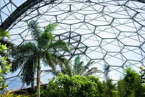 Bild auf Leinwand Scenic view of trees growing inside the tropical biome at the Eden Project in Co