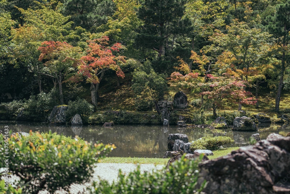 Idyllic scene of the Hojo Garden of Tenryuji Temple, Kyoto, Japan