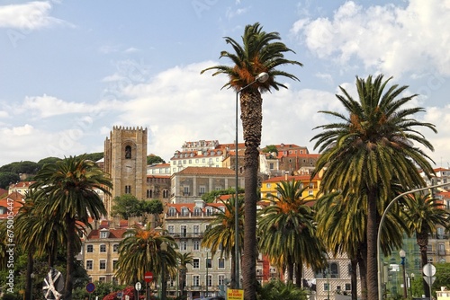 Scenic street with lush palm trees lining the sidewalk. Lisbon, Portugal. © Wirestock