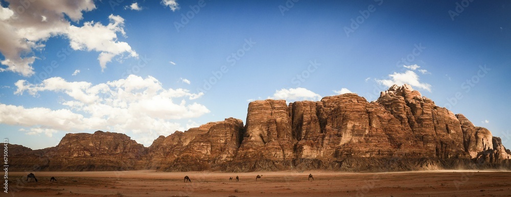several camels walking in the middle of a desert field next to tall mountains