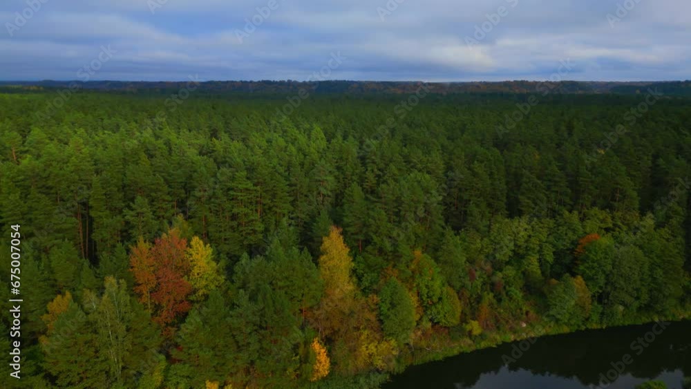 Beautiful early autumn forest aerial panorama pan to left with green and yellow trees Beautiful early autumn forest aerial panorama pan to left with green and yellow trees