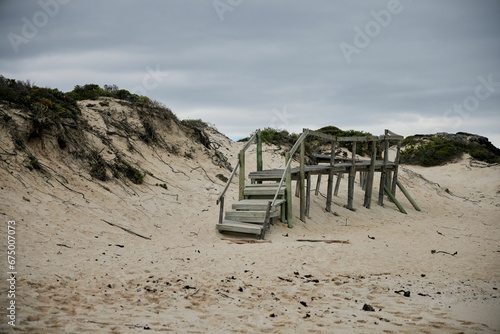 Wooden bridge surrounded by greenery and sand. De Hoop Nature Reserve, South Africa.
