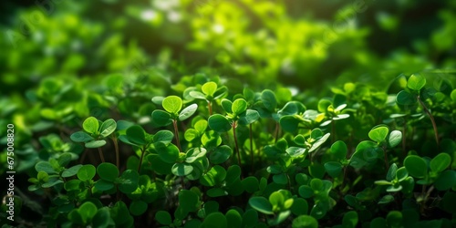 Wallpaper Mural AI generated illustration of a tropical coastline against the sea under the night starry sky Torontodigital.ca