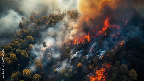 AI generated illustration of an expansive wildfire engulfs an untouched forest