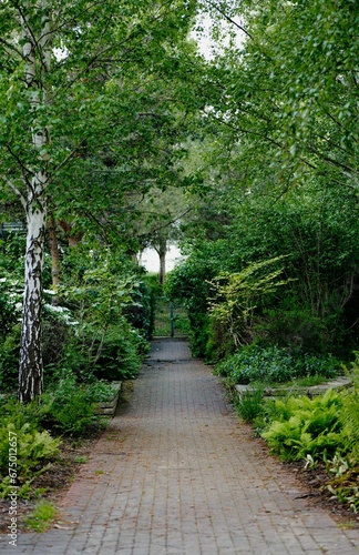 Scenic pathway lined with lush trees and foliage in a park