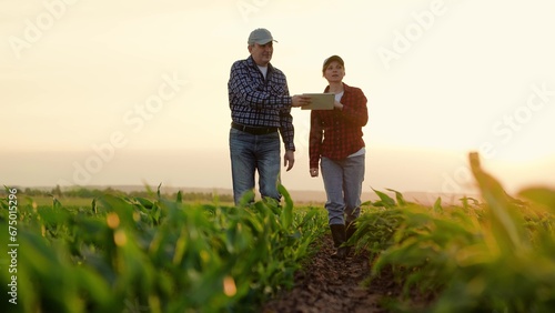 Farmers work in cornfield using digital tablet. Farmer points to field with hand. Teamwork in agribusiness. Man, woman, field, tablet computer. Concept using modern technologies agricultural business