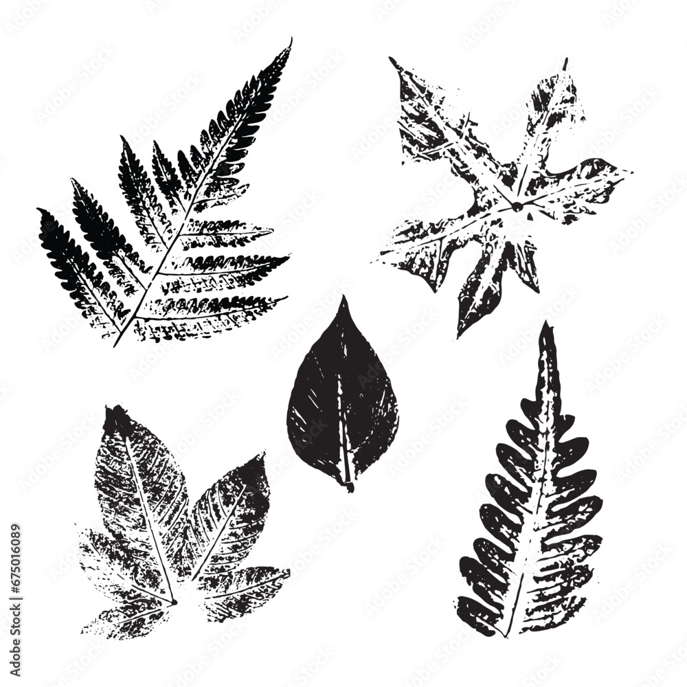 Set of Leaves ink print illustration element template vector