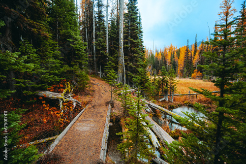 Clara and Marion Lake Trail with it's beautiful golden larches in Fall in Okanogan-Wenatchee National Forest, Washington State, USA photo