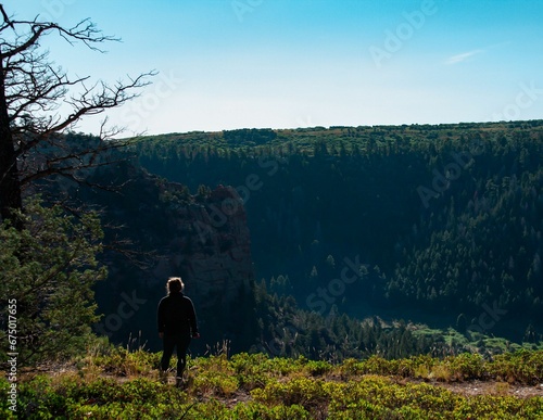 Solitary figure at the edge of a majestic gorge  surveying the breathtaking view