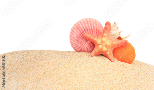 Beautiful sea star and seashell in sand isolated on white