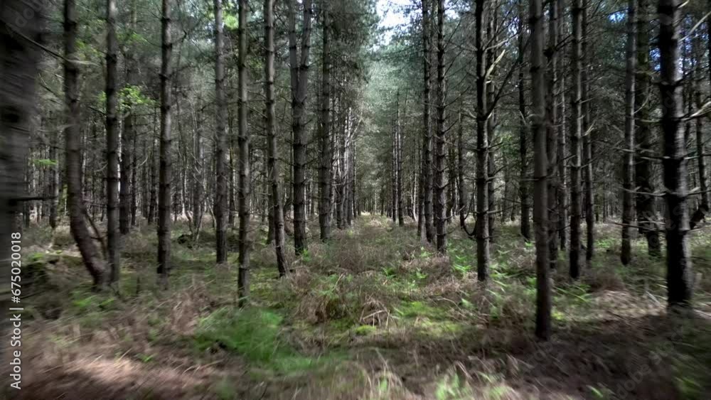 Aerial Drone Flight through Rendlesham Forest in Suffolk, England Aerial Drone Flight through Rendlesham Forest in Suffolk, England