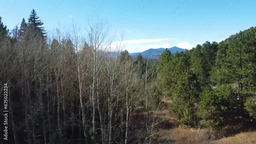Colorado Mountain Landscape over the trees Colorado Mountain Landscape over the trees