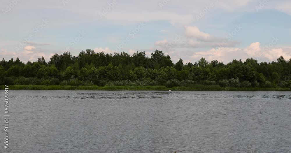 river in autumn, water with waves in the river in summer with green grass growing on the river bank river in autumn, water with waves in the river in summer with green grass growing on the river bank
