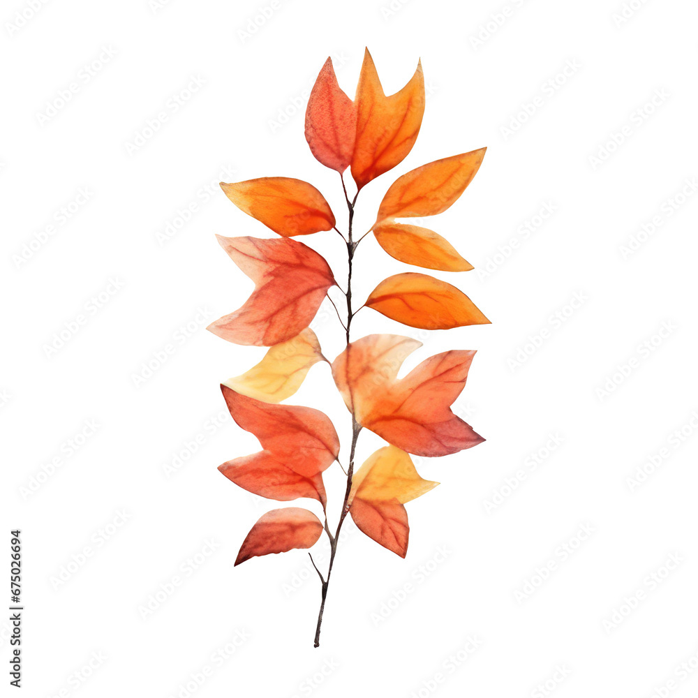 Naklejka premium watercolor Autumn flowers isolated on transparent background