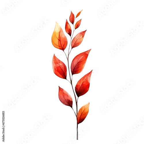 watercolor Autumn flowers isolated on transparent background