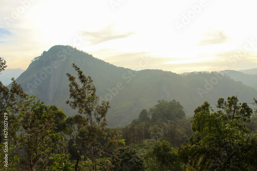 The tea plantations around Little Adam's Peak, Ella, Sri Lanka.