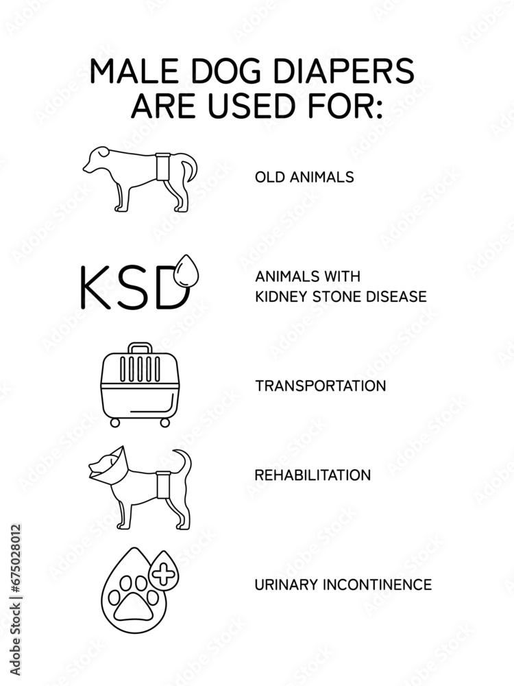 Vector line infographic. Male dog diapers /wraps are used for: old animals, dog kidney stone disease, dog transportation, rehabilitation, urinary incontinence. Dog wearing wrap. Vector line infographic. Male dog diapers /wraps are used for: old animals, dog kidney stone disease, dog transportation, rehabilitation, urinary incontinence. Dog wearing wrap.