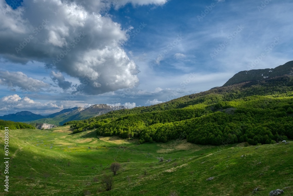 Aerial view of green hills on a sunny day